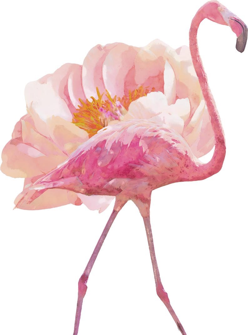 Disjunct Flower Flamingo Illustration